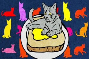cat_1533685542-1140x570