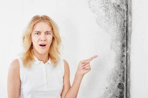 Wall fungus. Aspergillus. A beautiful girl in a white T-shirt points a finger at the black mold on the wall."n