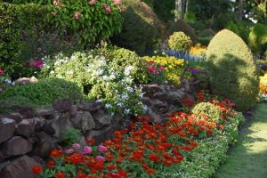 depositphotos_325063498-stock-photo-view-colorful-flowers-growing-park