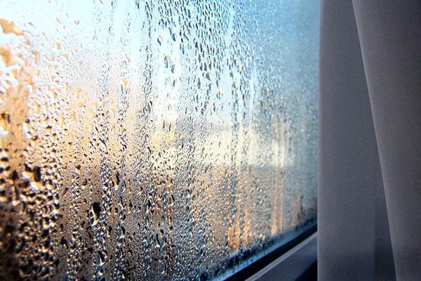 Конденсат на окнах – причины и как бороться
