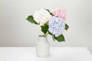Когда уместно и не уместно дарить цветы?