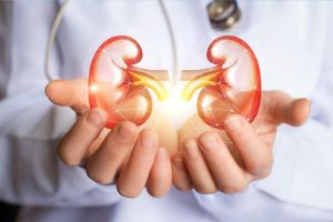 kidneys-in-hands_965x0