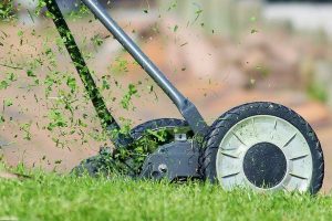 lawn-mower-938555_1920-1024x695