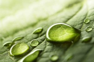 shutterstock_668593321
