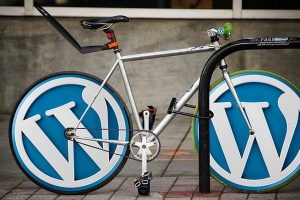wordpress-973439_640