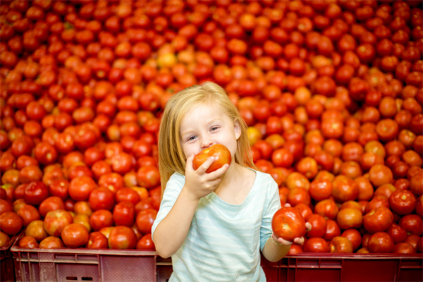 Советы эксперта: как вырастить томаты