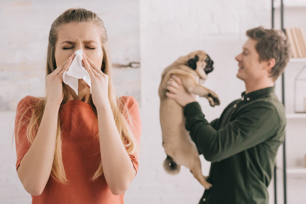 Отдать нельзя оставить: что делать, если у вас аллергия на домашнее животное
