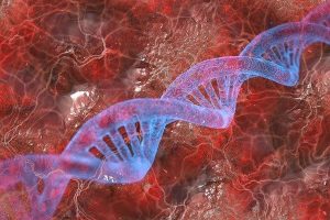 dna-4334173_640
