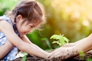 Asian little girl and parent planting young tree on black soil together