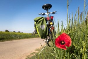 cycling-5178398_1280-1024x682