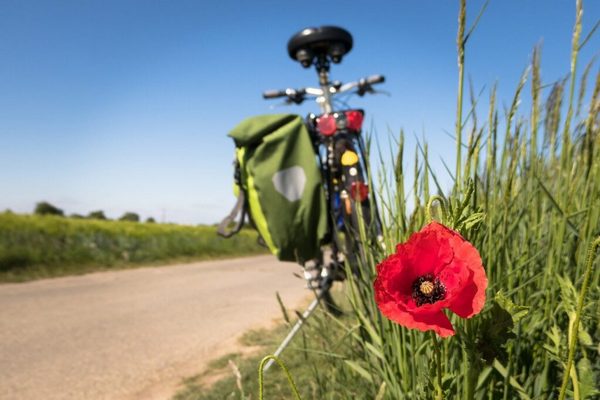 4 лучших города для путешествий на велосипеде