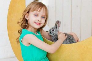 rabbit-deti-min-1024x682
