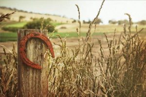 Находки на улице обещающие удачу и богатство