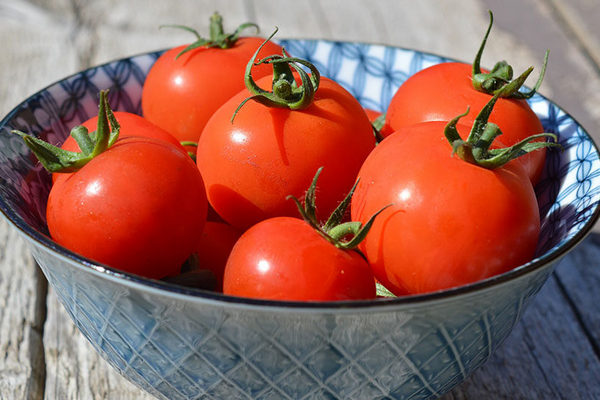 Как приготовить раствор из марганцовки и чеснока, чтобы защитить помидоры от болезней