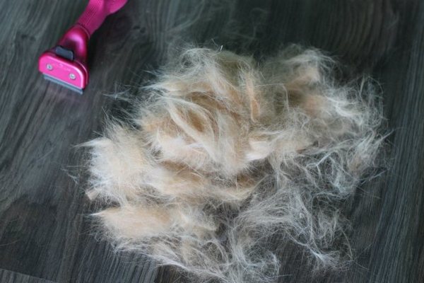 Как удалить волосы и шерсть с одежды при стирке: советы