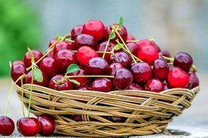 Чем подкормить сливу и вишню в июне, чтобы получить крупные ягоды