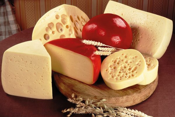 Как отличить сыр от подделки и проверить его качество