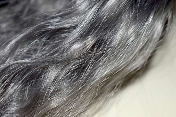 Почему нельзя вырывать седые волосы — развенчиваем мифы