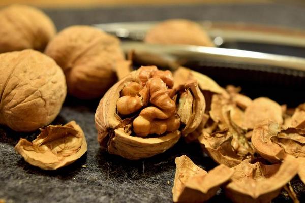 Как правильно выбрать хорошие грецкие орехи: советы и рекомендации покупателям
