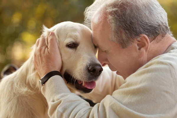 Медики объяснили, почему владельцы собак живут дольше