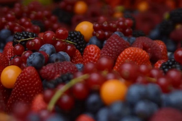 Названа самая полезная для здоровья ягода сентября