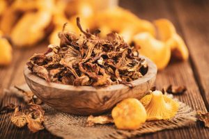 Dried Chanterelles close-up shot, selective focus