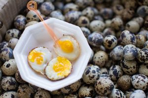 Quail eggs and fried quail eggs of delicious