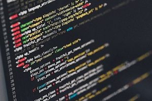 Какие языки программирования нужно выучить, чтобы работать?