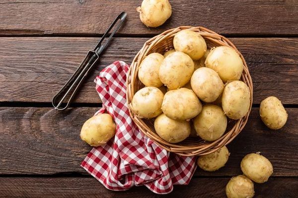 Ученые обнаружили, что употребление картофеля не способствует ожирению и диабету.