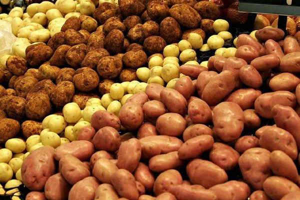 Ученые из Австралии опровергли стереотип о вреде картофеля для здоровья человека