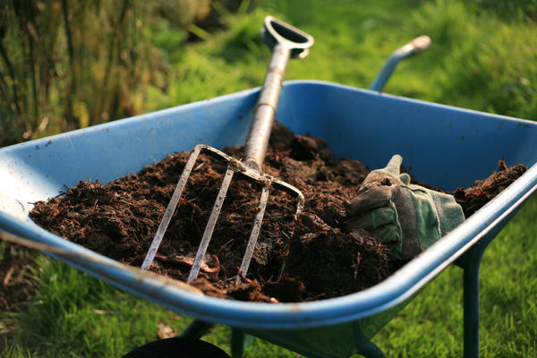 Что точно можно посадить на компостной куче: пока компост созреет, мы урожай соберем
