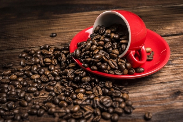 Правила хранения кофе, чтобы подольше наслаждаться вкусным и ароматным напитком