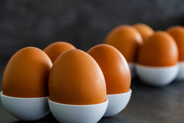 Как правильно хранить яйца в морозилке до одного года и как их потом размораживать