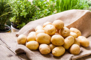 Farm fresh  potatoes on a hessian sack