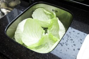White cabbage