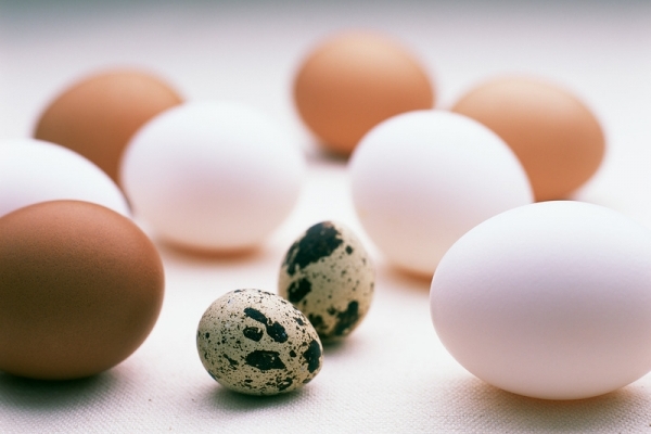 Появлению яиц домашней птицы в соседнем огороде нашли объяснение