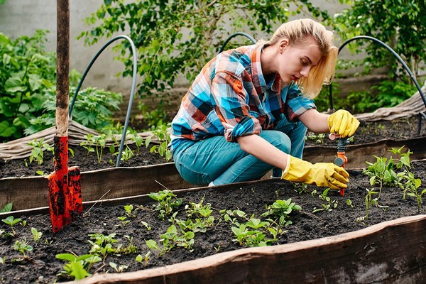 Народные приметы для огородников: вещи, которые нельзя делать летом в саду