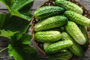 Огурцы станут еще более хрустящими и вкусными: лайфхак от шеф-поваров