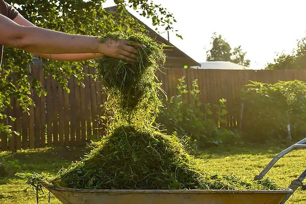 Скошенная трава – ценный материал, никогда не выбрасывайте ее