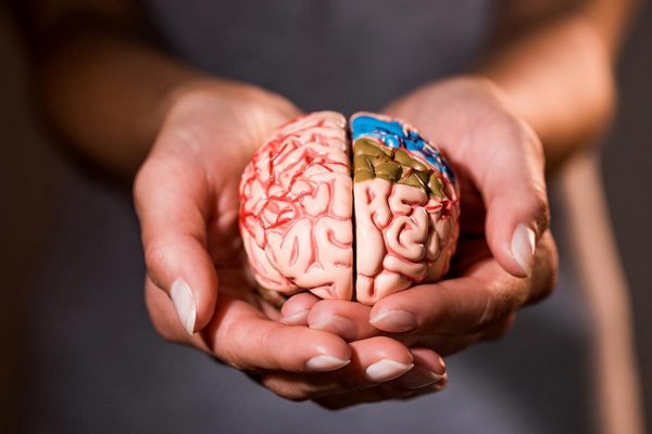 Там происходит много интересного: Удивительные факты о мозге