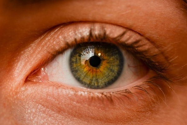 Приводит к полной слепоте: как определить бессимптомную болезнь глаз