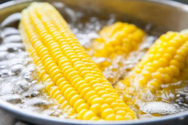 Кочаны станут еще мягче и вкуснее: неожиданный способ варки кукурузы.