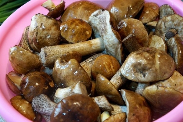 Чтобы не отравиться: сколько можно хранить замороженные грибы в морозилке