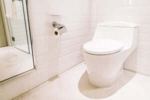 White toilet seat
