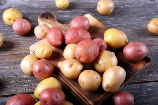 Ученые рассказали, действительно ли белый картофель вреднее фиолетового