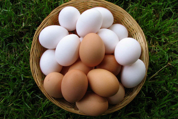 Как правильно выбирать яйца в магазине: факторы, которые следует учитывать