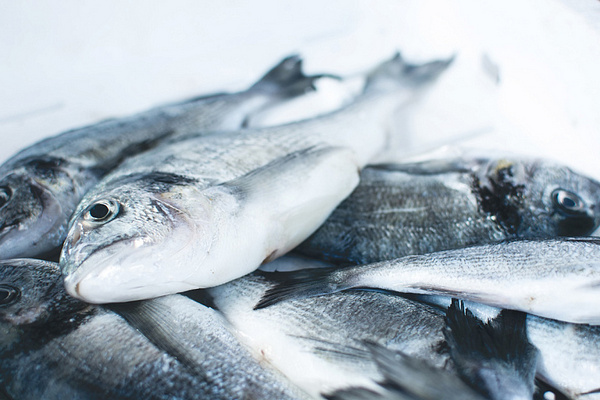 Сколько можно хранить рыбу в морозильнике: как правильно заморозить, чтобы сохранить вкус