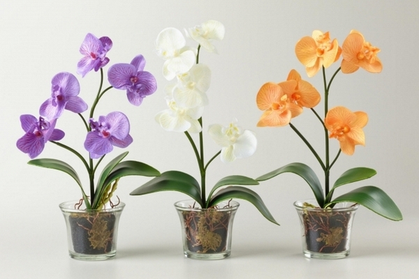 Дело, которое есть в горшке каждой покупной орхидеи и медленно убивает цветок