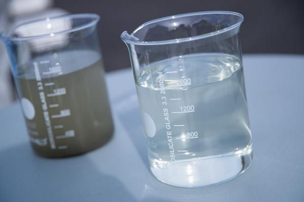 Ученые нашли способ легко и дешево избавиться от нанопластика в воде