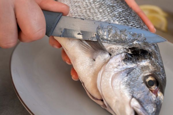 Чешуя не разлетится: как за пару минут почистить рыбу без ножа